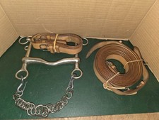 Mors de cheval avec lagniere