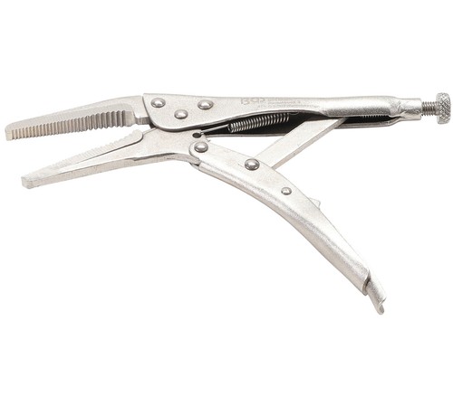 Pince etau 225 - etau, bgs