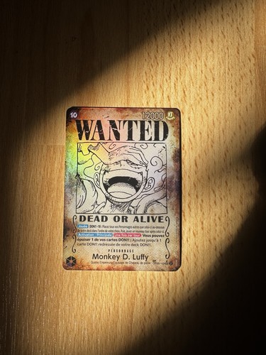 Wanted monkey luffy fr - d,