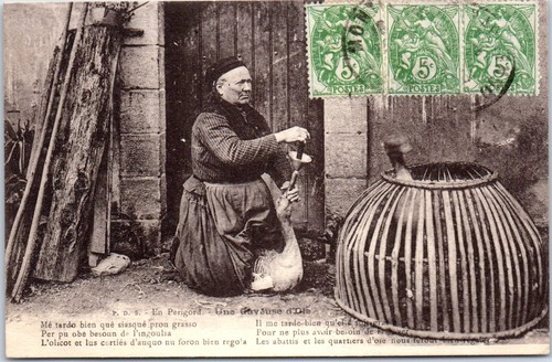 Perigord une gaveuse - 24, en