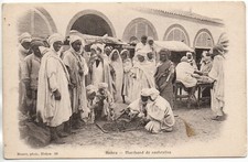 ALGERIE - Algérie Française