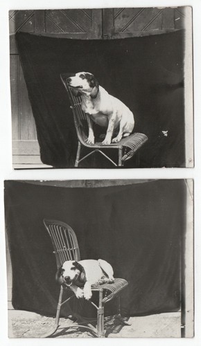 Photo anonymous prints 1930 - 2,