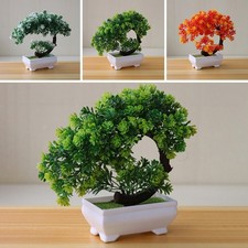 Ornement Plante Pot Plante