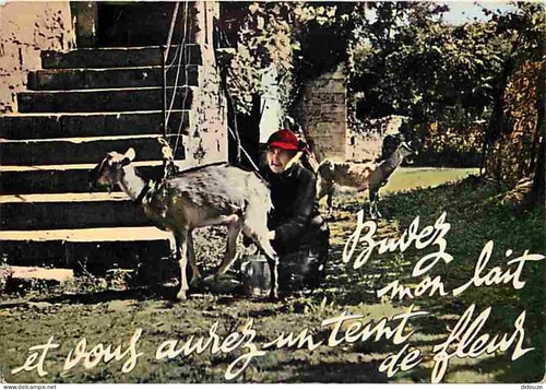 Carte postale animaux - carte,