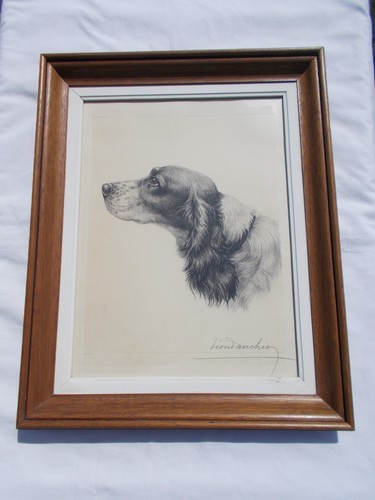 Lithographie ancienne cocker - ancienne,