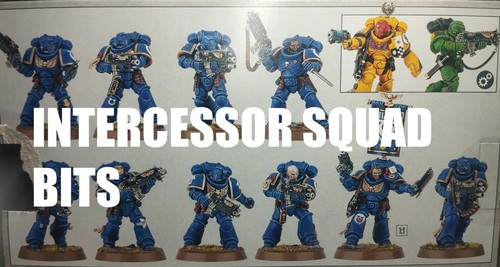 Warhammer 40k new intercessors - warhammer,