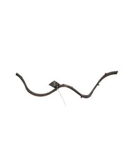 Liane Naturelle Aquavie