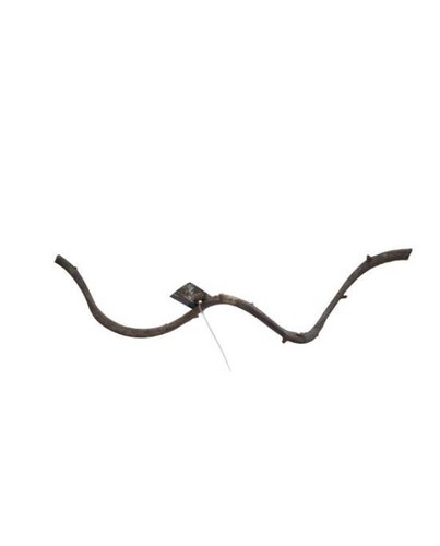 Liane naturelle aquavie - liane,