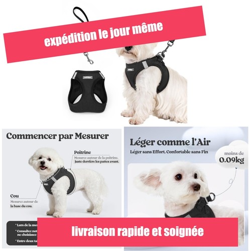 Harnais chien rabbitgoo petite