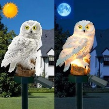 Lampe Solaire Decoration
