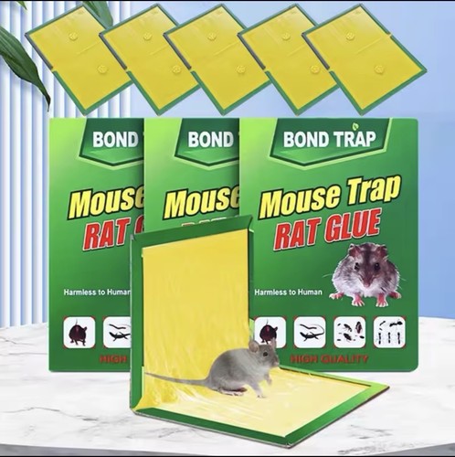 10xpiège adhésif pour souris - pour,