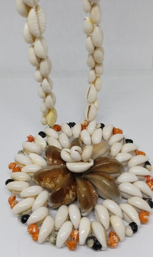 Joli collier coquillage des