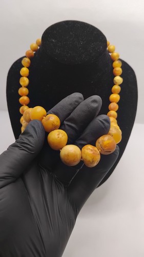 Collier amber baltique - collier,
