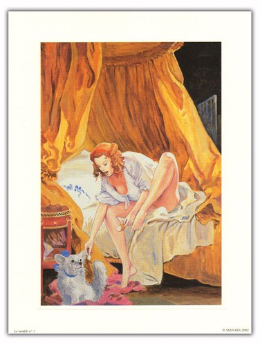 Affiche manara modèle - bd,
