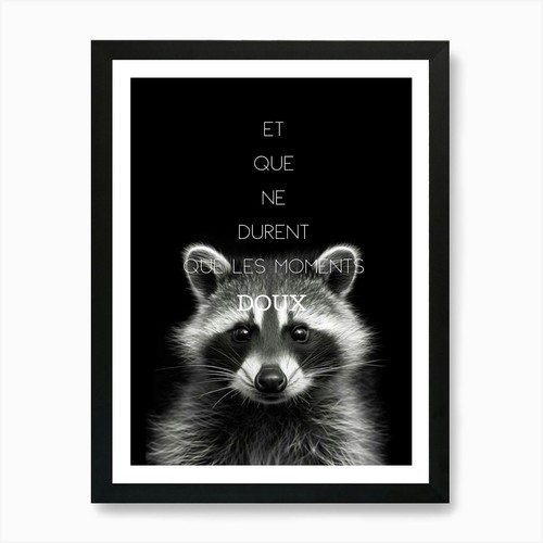 Raton laveur art - art, print