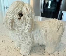 Coton De Tulear Figurine Sandicast Original Size - 5 Inch