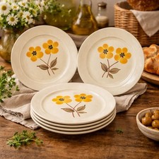 Lot de 5 assiettes à dessert