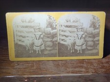 Vtg Stereoview F.G. Weller 1871 Little Bo Peep Fontinelle (daughter) Stereoscope