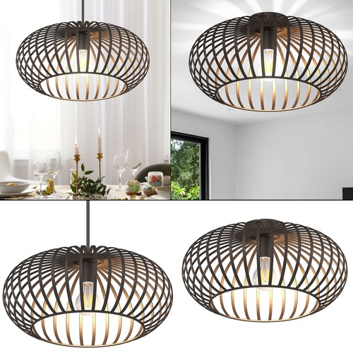 Luminaire suspendu couvrir - luminaire,