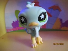 Petshop Ostrich #818