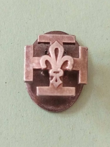 Insigne boutonnière scout - insigne,