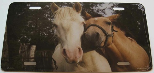 Plaque auto usa - , horse