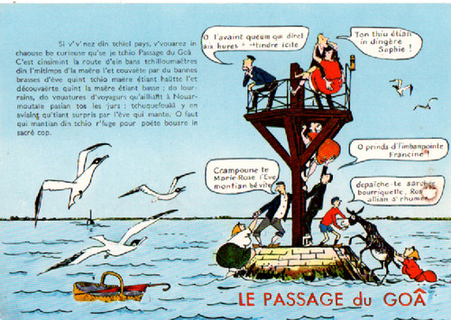Carte postale humoristique - ,