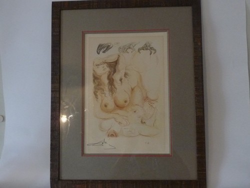 Salvador dali erotic - salvador,