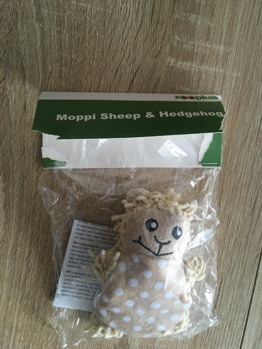 Jouet mouton pour - , chat