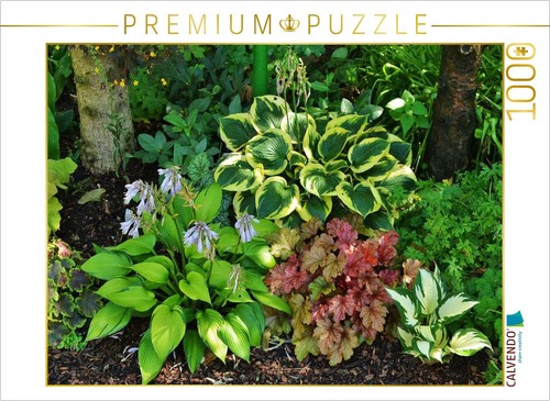 Calvendo puzzle hosta june - calvendo, 'june