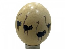 Oeuf d'autruche broyé motif d'autruche collector 15 cm. État voir photos