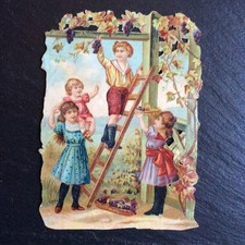 Grand Chromo Découpis