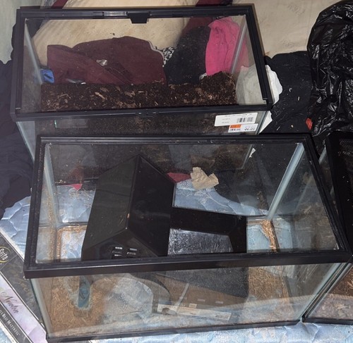 Aquarium tank - aquarium,
