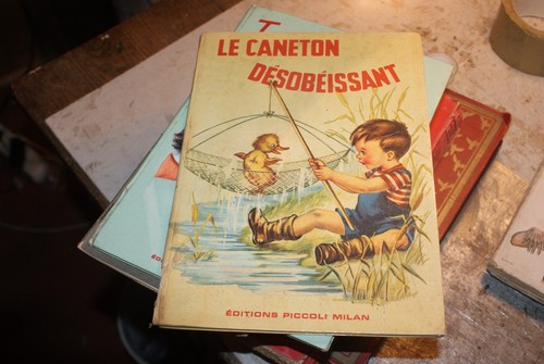 Caneton désobéissant - caneton,