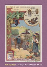 CHROMO LIEBIG : FRUITS &