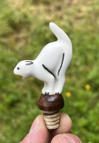 Cat pour pourer spout bottle - pour,