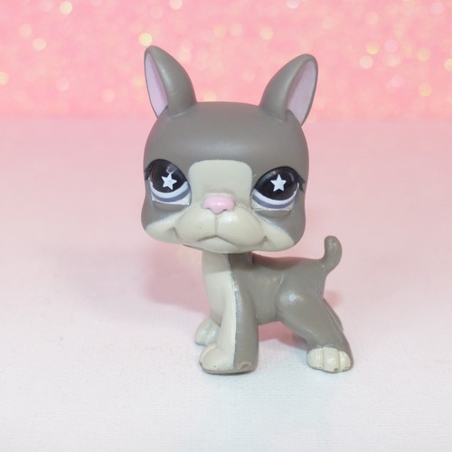 Authentic littlest petshop lps - authentic,