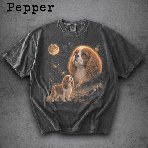 Cavalier king charles dog - cavalier,