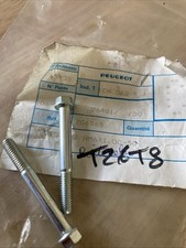 Peugeot 706565 X2 vis M6 x 100