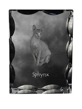 Sphynx cadre en cristal avec