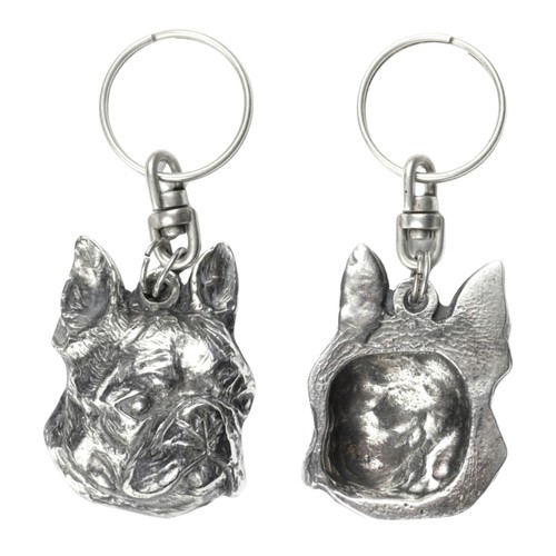 Boston terrier - terrier,, bull