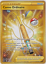 215/202 Ordinary Cane Sword and Shield POKEMON CARD