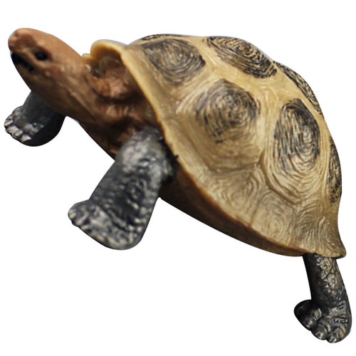 Figurine tortue terrestre - de,