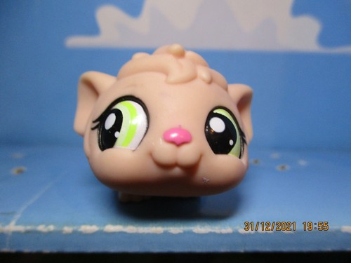 Petshop cochon inde 1540 - cochon, n°1540