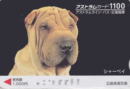 Carte japon animal chien - -,