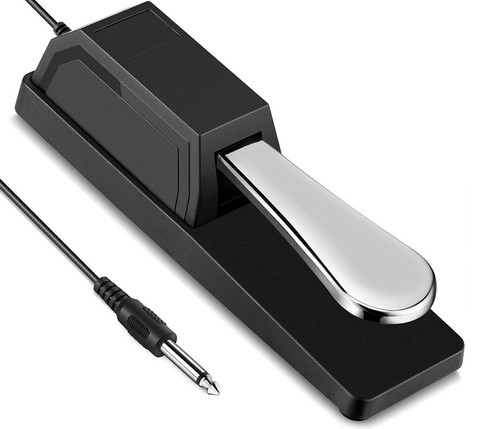 Sustain foot pedal - foot, for