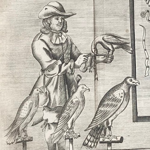 Nicholas cox gerard - nicholas,