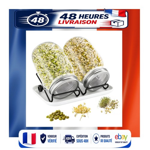 Germoir verre 750 ml - verre, x