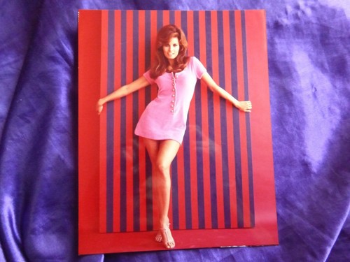 Raquel welch photo - welch,