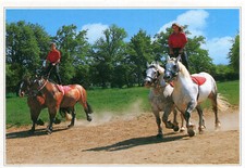 JUVIGNY Sous VAL D'ANDAINE